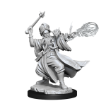 3D render of the D&D Frameworks Human Wizard Male miniature by Wizkids, posed with a staff raised and a fiery spell effect in hand.