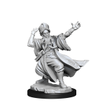 Render of D&D Frameworks Human Wizard Male miniature by Wizkids, depicting a wizard with outstretched arms mid-incantation.