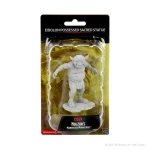 Unpainted Eidolon Possessed Sacred Statue miniature from D&D Nolzur's Marvelous Miniatures series, packaged in clear plastic on a branded card with age recommendation and logo.