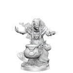 Unpainted D&D Frameworks Night Hag miniature render by WizKids, showcasing detailed textures and features.