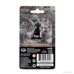 Back of the box for D&D Icons of the Realms Human Male Warlock Premium Painted Miniature displaying product details and collection information.