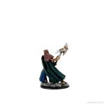 Rear view of D&D Icons of the Realms Premium Painted Half-Orc Fighter Female Figure