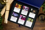 Daggerheart card tray close up inside box